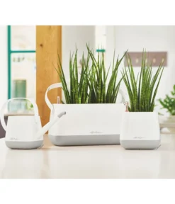 LECHUZA® YULA Gießkanne, 1,7 L -Compo Verkaufsgeschäft 4065850 PR MO 001 4065934 4065884 YulaSetWeissGrau