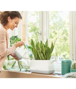 LECHUZA® YULA Gießkanne, 1,7 L -Compo Verkaufsgeschäft 4065934 PR MO 001 YulaPflanztascheWeissGrau 4065884