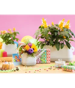 LECHUZA® YULA Gießkanne, 1,7 L -Compo Verkaufsgeschäft 4065934 PR MO 002 4065884 4065850 YulaSetWeissGrau