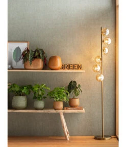 Korbmarante - Calathea Mosaica -Compo Verkaufsgeschäft 4073847 PR MO 001 JardiniereTopfVaseSafirGelbGruen 4077731 4069274 4072542 4092896