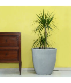 Farmet Kunststoff-Topf-Set Orione Alto, Rund, Grau, 2-teilig -Compo Verkaufsgeschäft 4109179 WE DE 002 ORIONEALTOHoherRunderPflanzkuebelDurchmesser50cm50cmhochSTEINBEIGE