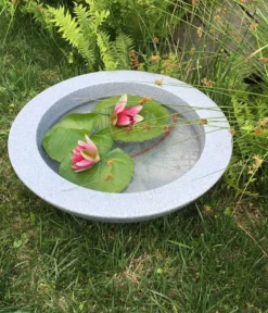 Roto Kunststoff-Pflanzschale Ballett, Rund, Hellgrau, Ca. Ø60/H18 Cm -Compo Verkaufsgeschäft 4142485 WE MO 002 RotoSchaleBallett600