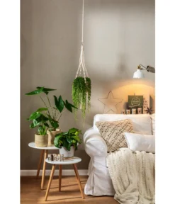 Dehner Makramee-Ampel -Compo Verkaufsgeschäft 4152484 PR MO 001 TopfFreshBraunGrau 4408951 4408977 4408985 4409132