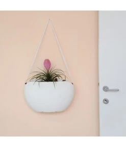 Farmet Kunststoff-Hängeampel Clio -Compo Verkaufsgeschäft 4186680 WE DE 002 CLIObagmitSeil40x17x2450cmhochWEISS