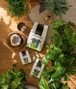 LECHUZA® PON Pflanzensubstrat -Compo Verkaufsgeschäft 4191144 3679685 4191342 WE MO 003 LechuzaPonSubstrat