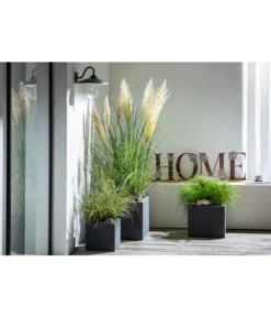 Dehner Kunststoff-Blumenkübel Palermo, Anthrazit -Compo Verkaufsgeschäft 4292165 WE MO 001 FerrumMetallBuchstabenSetHOMEcaB30H35T14cm