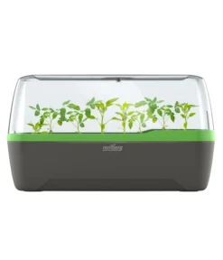 Romberg BoQube Gewächshaus -Compo Verkaufsgeschäft 4299970 WE FS 005 RombergGewaechshausZimmergewaechshausAnzucht