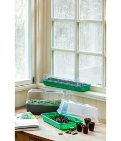 Romberg Zimmergewächshaus -Compo Verkaufsgeschäft 4299970 WE MO 004 BoQubeZimmergewaechshaus