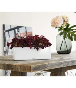 LECHUZA® CUBE Glossy Triple, All-in-One Set, 40 Cm -Compo Verkaufsgeschäft 4310652 PR MO 001 CubeGlossyTripleWeiss