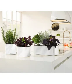 LECHUZA® CUBE Glossy Triple, All-in-One Set, 40 Cm -Compo Verkaufsgeschäft 4310652 PR MO 003 CubeGlossyTripleWeiss