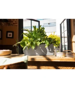 LECHUZA® Kunststoff-Kasten Balconera Stone -Compo Verkaufsgeschäft 4318606 WE MO 001 LechuzaKunststoffBalkonkastenBalconeraStonePflanzkastenBlumenkasten