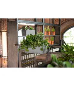 LECHUZA® Kunststoff-Kasten Balconera Stone -Compo Verkaufsgeschäft 4318606 WE MO 002 LechuzaKunststoffBalkonkastenBalconeraStonePflanzkastenBlumenkasten