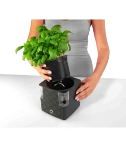 Dehner Kunststoff-Topf Mona, Eckig, Ca. B14/H14/T14 Cm -Compo Verkaufsgeschäft 4320743 PR FS 002 KunststoffTopfMonaGrau