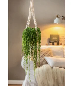 Dehner Makramee-Ampel -Compo Verkaufsgeschäft 4409132 PR MO 003 AmpelnFreshMakramee