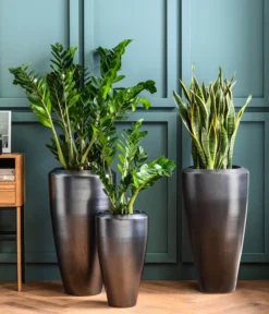 Dehner Keramik-Vase Lissabon Mit LECHUZA® Bewässerungssystem, Konisch -Compo Verkaufsgeschäft 4448833 4448858 4448841 WE MO 002 PflanzvaseLissabonAnthrazit