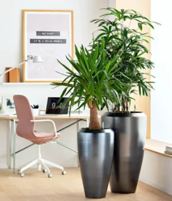 Dehner Keramik-Vase Lissabon Mit LECHUZA® Bewässerungssystem, Konisch -Compo Verkaufsgeschäft 4448833 WE MO 001 KeramikVaseLissabon