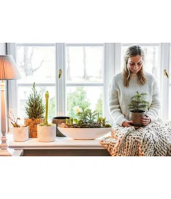 Dehner Keramik-Jardiniere Luisa, Oval, Weiß, Ca. B51/H12,5 Cm -Compo Verkaufsgeschäft 4450714 4450722 4448346 WE MO 001 TopfMatheaJardiniereLuisa