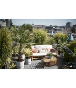 Elho Kunststoff-Topf Greenville -Compo Verkaufsgeschäft 4474318 4474342 WE MO 001 elhoKunststoffTopfGreenville