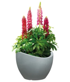 Scheurich Kunststoff-Topf Wave Globe, Rund, Ca. Ø60/H44,7 Cm -Compo Verkaufsgeschäft 4497707 WE FS 003 ScheurichKunststoffTopfWaveGloberund