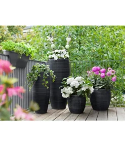 Dehner Polystone-Topf Singapur, Rund, Anthrazit -Compo Verkaufsgeschäft 5147558 WE MO 001 DehnerPolystoneTopfrundanthrazit