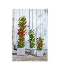 Dehner Leichtbeton-Topf Rock, Quadratisch, Grau -Compo Verkaufsgeschäft 5157524 5157532 5157540 5157557 WE MO 002 DehnerLeichtbetonTopfRockPflanzkuebelBlumentopf