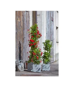 Dehner Leichtbeton-Topf Rock, Quadratisch, Grau -Compo Verkaufsgeschäft 5157524 5157532 5157540 5157557 WE MO 003 DehnerLeichtbetonTopfRockPflanzkuebelBlumentopf