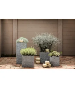 Dehner Leichtbeton-Topf Rock, Quadratisch, Grau -Compo Verkaufsgeschäft 5157524 WE MO 004 LeichtbetonTopfquadratischrock