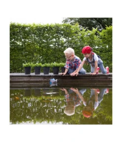 Artstone Kunststoff-Blumentopf Claire, Rund -Compo Verkaufsgeschäft 5160395 WE MO 002 KunststoffTopfClaireschwarz