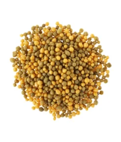 Substral® Osmocote® Buchs & Hecken Dünger, 1,5 Kg -Compo Verkaufsgeschäft 5170147 BildD 001 SubstralOsmocoteDuengerBuchsUndHeckenBuchsHeckenduengerOsmoc