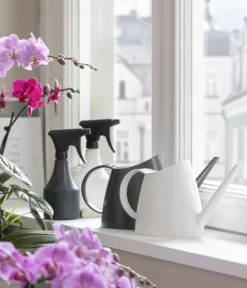 Sprüher, 0,5 L -Compo Verkaufsgeschäft 5357959 WE MO 001 GiesserAnthrazit