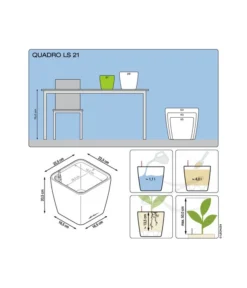 LECHUZA® QUADRO LS, All-in-One-Set -Compo Verkaufsgeschäft 5390174 3175270 5473541 5390182 5390190 5390166 WE DE 001 QuadroPremium21