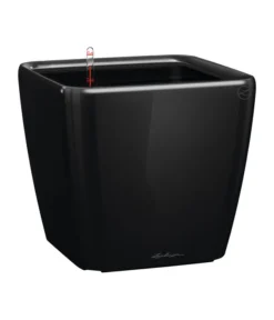 LECHUZA® QUADRO LS, All-in-One-Set