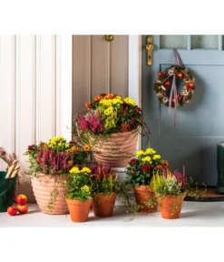 Vasar Kunststoff-Topf Murano -Compo Verkaufsgeschäft 6138028 WE MO 001 KranzApfel Herbst