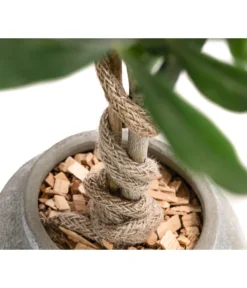 Olive, Stamm, In Keramik, Ca. Ø17/H90 Cm -Compo Verkaufsgeschäft 6267579 WE DE 002 OleaEurop Stamm90cmGrau