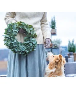 Dehner Kranz Eukalyptus, Grün, Ca. Ø40 Cm -Compo Verkaufsgeschäft 6279830 WE MO 001 EukalyptusKranz 03