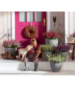 Knospenheide, Verschiedene Sorten -Compo Verkaufsgeschäft 6347207 7084932 WE MO 001 Cococut Knospenheide Prunus