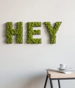 StyleGREEN Buchstaben Aus Islandmoos, Ca. H25 Cm -Compo Verkaufsgeschäft 6429435 WE MO 003 BuchstabenIslandmoosHey