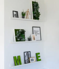 StyleGREEN Bild Im Dschungeldesign, Quadratisch, Ca. B35/H35/T16 Cm -Compo Verkaufsgeschäft 6429435 WE MO 004 BuchstabenIslandmoosimRegal 1