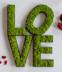 StyleGREEN Buchstaben Aus Islandmoos, Ca. H25 Cm -Compo Verkaufsgeschäft 6429435 WE MO 007 BuchstabenIslandmoosLove