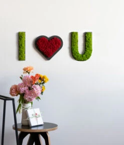 StyleGREEN Buchstaben Aus Islandmoos, Ca. H25 Cm -Compo Verkaufsgeschäft 6429518 6429633 WE MO 001 BuchstabenIslandmoosILoveU