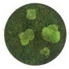 StyleGREEN Bild Aus Wald- Und Kugelmoos, Kreisförmig, Ca. Ø34 Cm