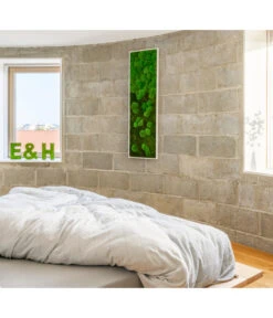 StyleGREEN Bild Aus Wald- Und Kugelmoos Im Verlauf, Ca. B140/H40/T7 Cm -Compo Verkaufsgeschäft 6429799 PR MO 001 Wald Kugelmoosbild140x40cm