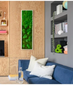 StyleGREEN Bild Aus Wald- Und Kugelmoos Im Verlauf, Ca. B140/H40/T7 Cm -Compo Verkaufsgeschäft 6429799 PR MO 002 Wald Kugelmoosbild140x40cm