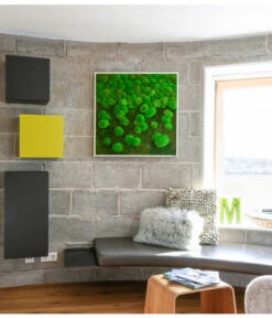 StyleGREEN Bild Aus Wald- Und Kugelmoos Im Verlauf, Ca. B80/H80/T7 Cm -Compo Verkaufsgeschäft 6429807 WE MO 001 Wald KugelmoosbildVerlauf80x80cm