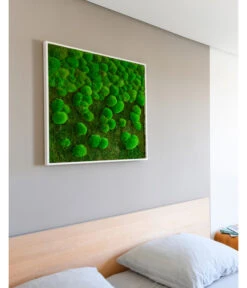 StyleGREEN Bild Aus Wald- Und Kugelmoos Im Verlauf, Ca. B80/H80/T7 Cm -Compo Verkaufsgeschäft 6429807 WE MO 002 Wald KugelmoosbildVerlauf80x80cm