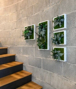 StyleGREEN Bild Im Dschungeldesign, Quadratisch, Ca. B35/H35/T16 Cm -Compo Verkaufsgeschäft 6429864 WE MO 002 Pflanzenbild35x35cmStylegreen