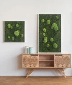 StyleGREEN Bild Aus Wald- Und Kugelmoos, Quadratisch, Ca. B55/H55/T6 Cm -Compo Verkaufsgeschäft 6429880 WE MO 001 Wald Kugelmoosbild55x55cmStylegreen