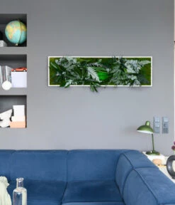 StyleGREEN Bild Im Dschungeldesign, Rechteckig, Ca. B140/H40/T20 Cm -Compo Verkaufsgeschäft 6429906 WE MO 001 Pflanzenbild140x40cmStylegreen
