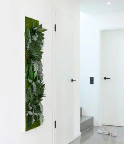 StyleGREEN Bild Im Dschungeldesign, Rechteckig, Ca. B140/H40/T20 Cm -Compo Verkaufsgeschäft 6429906 WE MO 002 Pflanzenbild140x40cmStylegreen