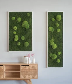 StyleGREEN Bild Aus Wald- Und Kugelmoos, Rechteckig, Ca. B140/H40/T6 Cm -Compo Verkaufsgeschäft 6429922 WE MO 001 Wald Kugelmoosbild140x40cmStylegreen